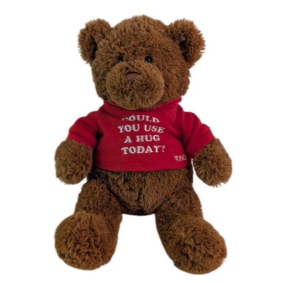 Gund Could You Use A Hug Brown Teddy Bear Plush #16999 Red Hoody 12" Stuffed Toy - Picture 1 of 6